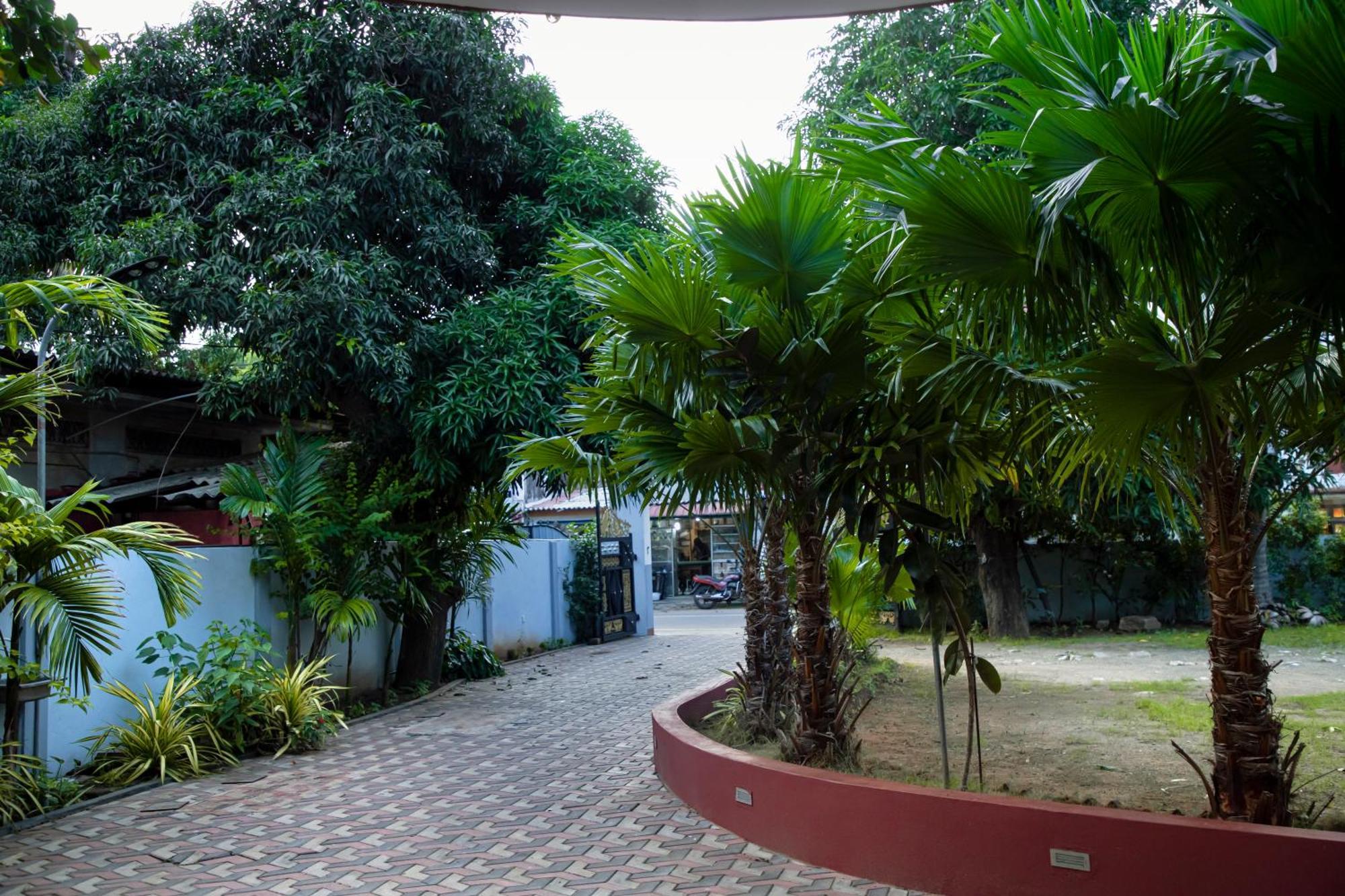 ג'פנה Golden Star Guest House מראה חיצוני תמונה
